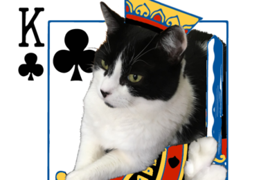 Cat Card Deck