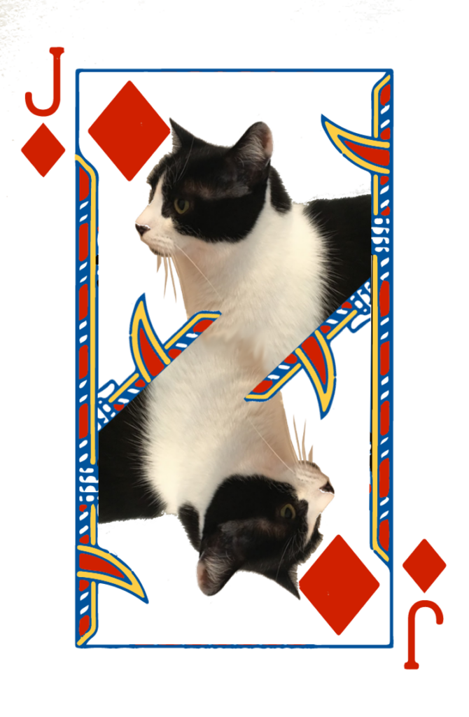 Jack of Diamonds