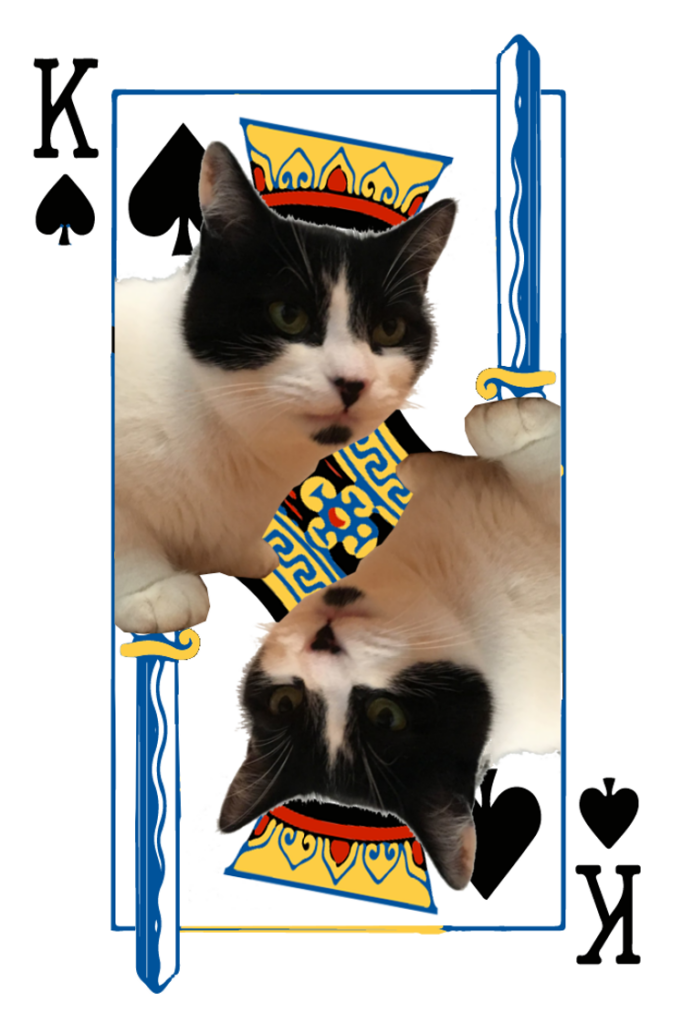 King of Spades