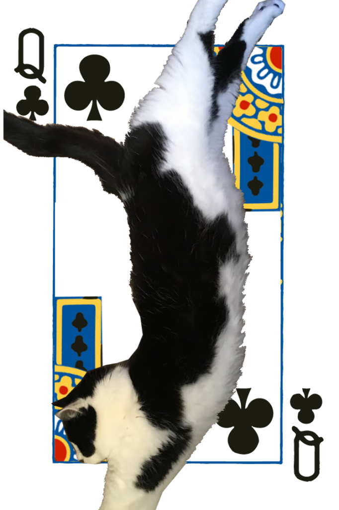 Queen of Clubs